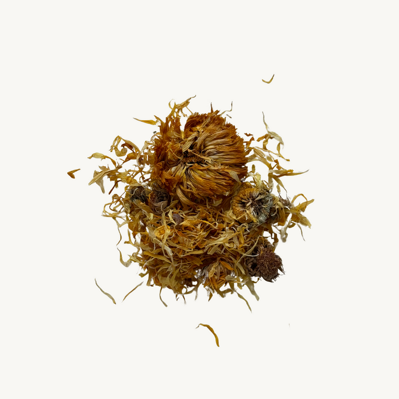 Organic Calendula Petal