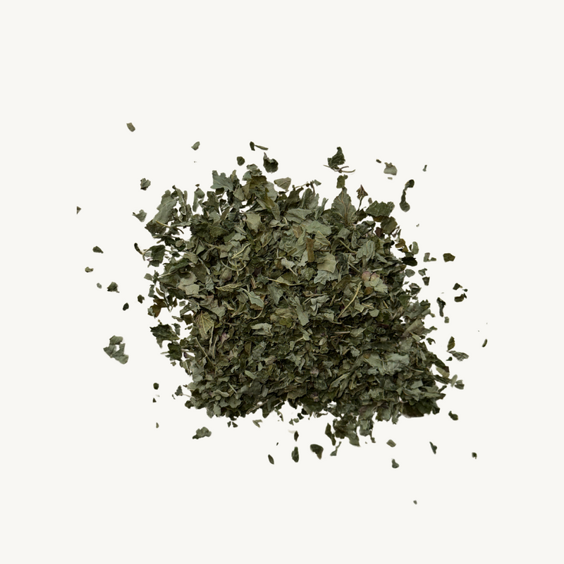 Organic Lemon Balm