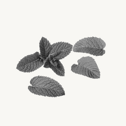 Organic Spearmint leaf